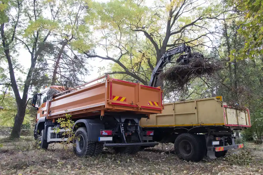 What Does Hauling Mean in New Hamburg ON What Does Hauling Mean in New Hamburg ON